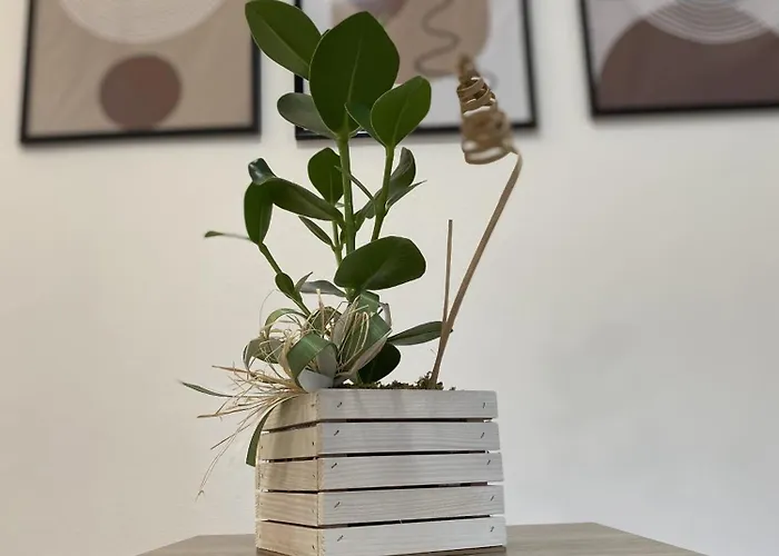 Casa Luigi Διαμέρισμα Όπως